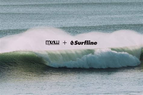 surfline tynemouth
